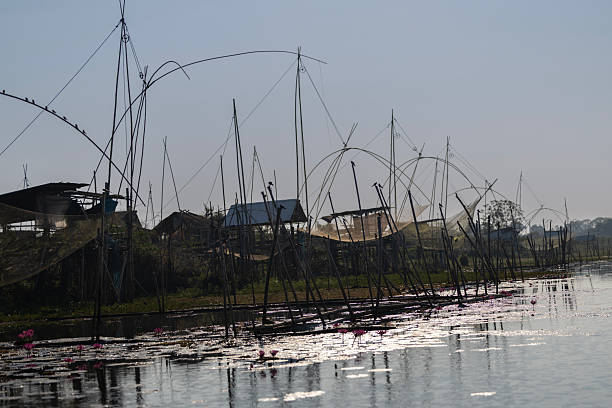 A scenic view of traditional life nets suspended over a calm riverside wetland in the early morning light. The curved bamboo poles and delicate fishing nets create striking silhouettes against the soft sky.