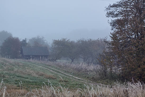 Soft morning light highlights a chilly, frosty path winding through a tranquil rural field. Trees frame the scene as nature awakens at dawn.