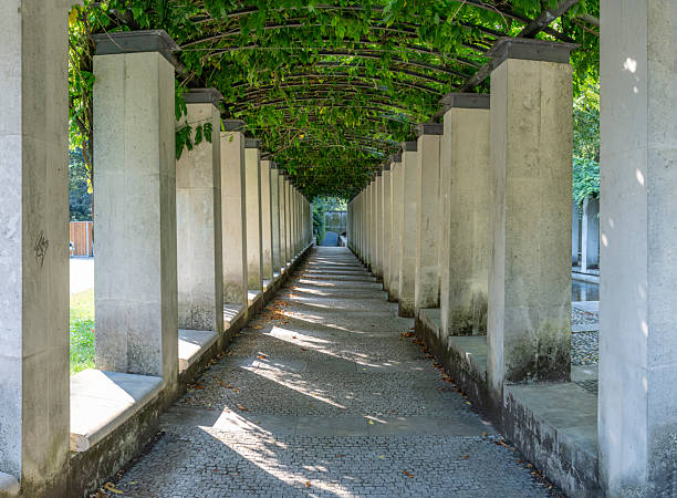 Green archway in the garden.