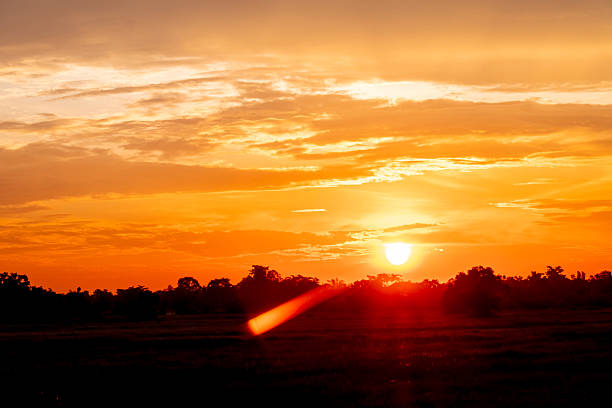 Beautiful , luxury soft gradient orange gold clouds and sunlight on the blue sky perfect for the background, take in evening,Twilight, Large size, high definition landscape photo, savanna view