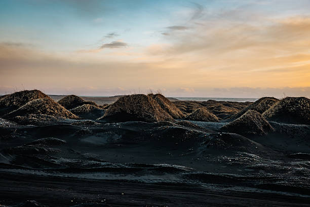 Volcanic black sand dunes with dry grass mounds stretching towards the ocean under a beautiful sunset sky, creating a wild and desolate natural landscape in Iceland