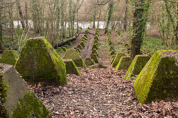 Old World War 2 Anti Tank Defences. Dragons Teeth, Located Near The River Wey in Guildford, United Kingdom