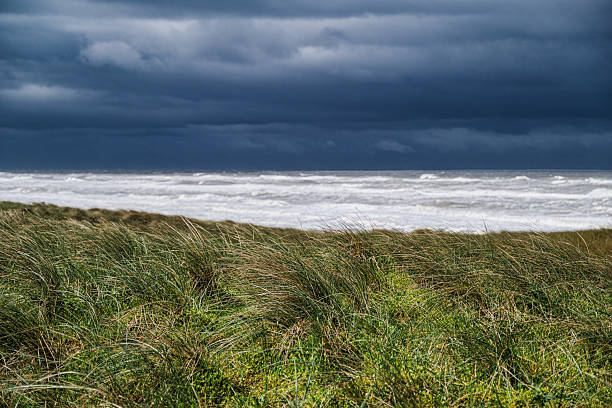 With dune in foreground