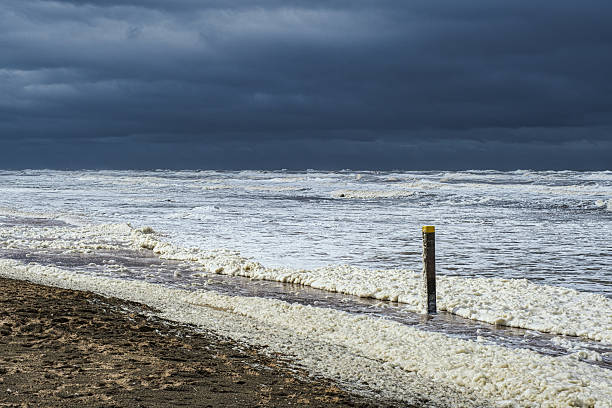 Worn breakwaters driven into the seabed still protect the coast from the damaging effects of waves on the Baltic Sea coast in Ustronie Morskie, West Pomerania, Poland.