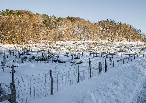 Snow covered allotment gardens in winter hillside landscape