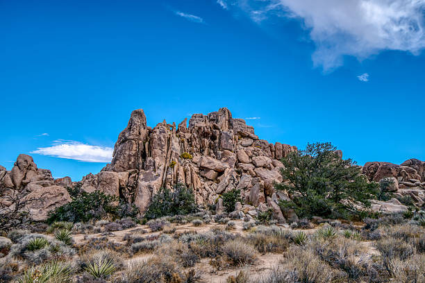 A rocky desert landscape with a lone tree in the distance. The sky is clear and blue, and the sun is shining brightly. Concept of solitude and isolation