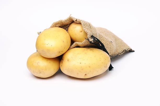 Freshly harvested potatoes awaiting preparation for cooking