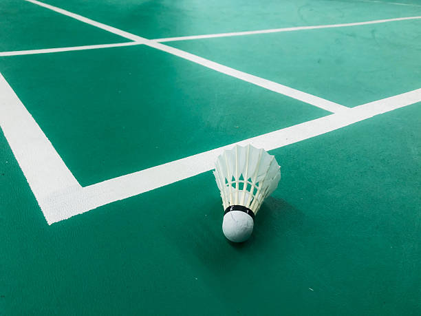 istock shuttlecock positioned on a green court 2261092065
