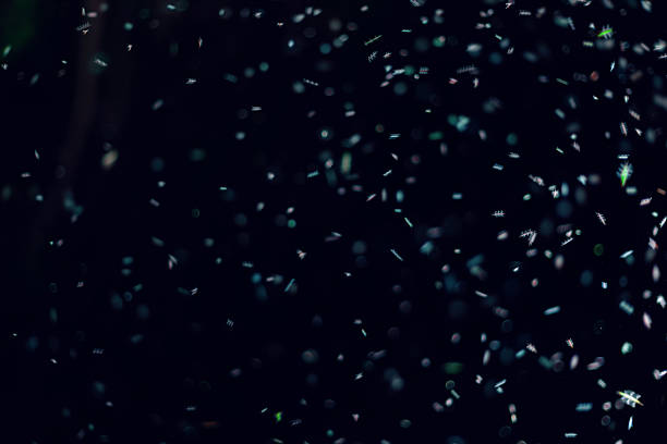 Swarm of Skyfish Flying Rods flying at night