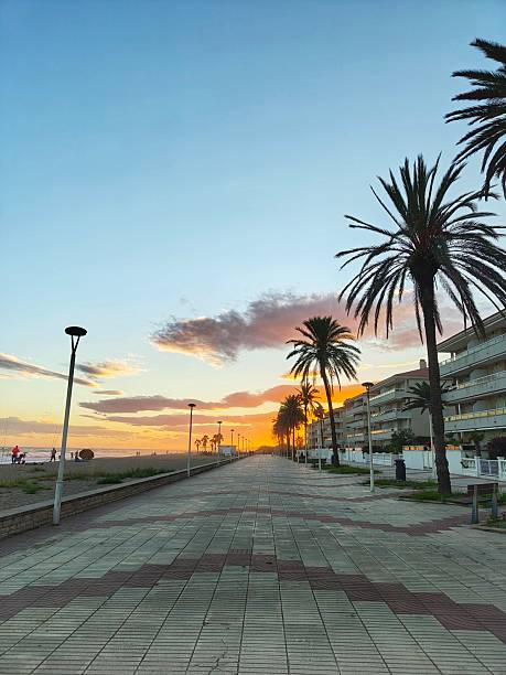A scenic view of the paved beachfront promenade in Calafell, Spain, during a vibrant sunset. The image captures towering palm trees silhouetted against an orange and blue sky, with modern coastal apartments on one side and the sandy Mediterranean beach on the other. A peaceful evening atmosphere perfect for travel and leisure themes.