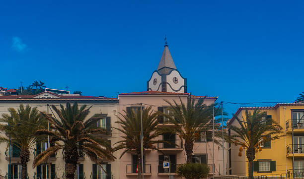 Mediterranean style buildings with palm trees and clock tower.