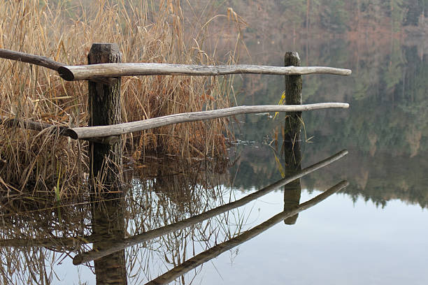 Fence leading to the lake