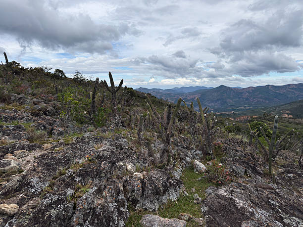 Cloudy day in the highlands with rugged terrain and desert flora