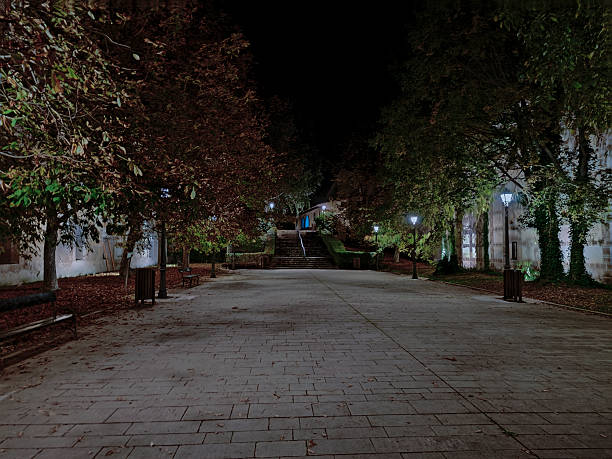 Empty park path at night, illuminated by street lamps, leading to steps