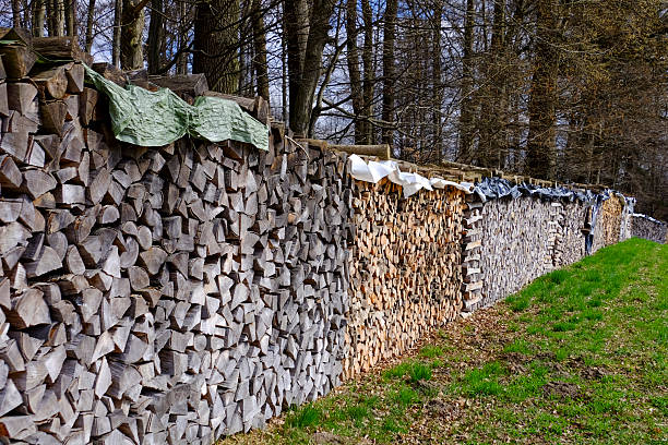A long row of stacked firewood