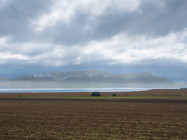 A breathtaking view of the lush, rolling hills in Northwest Tunisia during a crisp winter day. The scene captures the vibrant green countryside under a brilliant blue sky filled with majestic cumulus clouds, showcasing the natural beauty and serene wilderness of the North African interior.