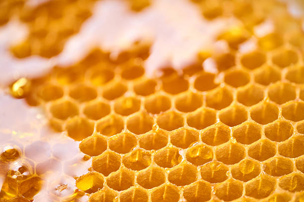 istock Close Up view of Honey cells pattern, beekeeping honeycomb texture. 2261150565