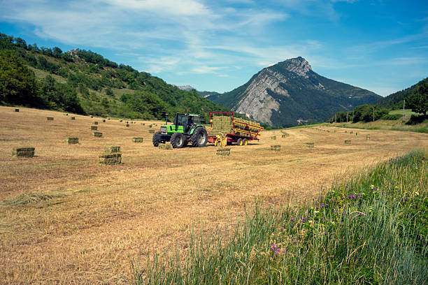 Harvesting a field in Provence