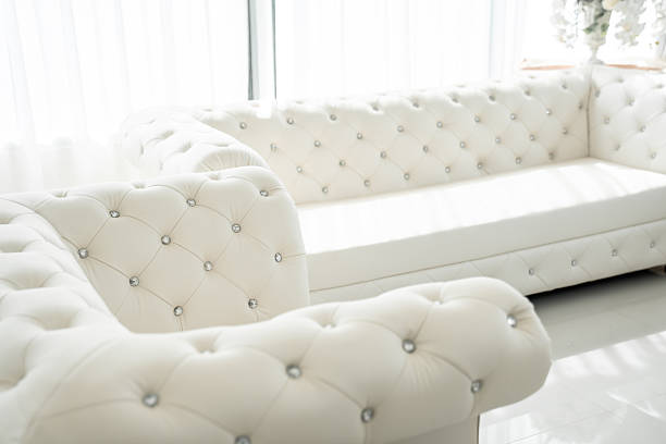 Sofa isolated on white empty interior background, 3d illustration, front view