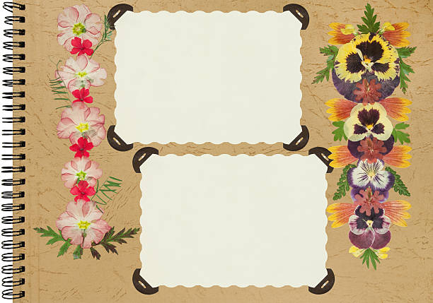 Page for stories. Photo album layout with empty photo frames. Scrapbook composition with floral elements. Page from an old photo album. Dried pressed flowers. For invitations und greetings.