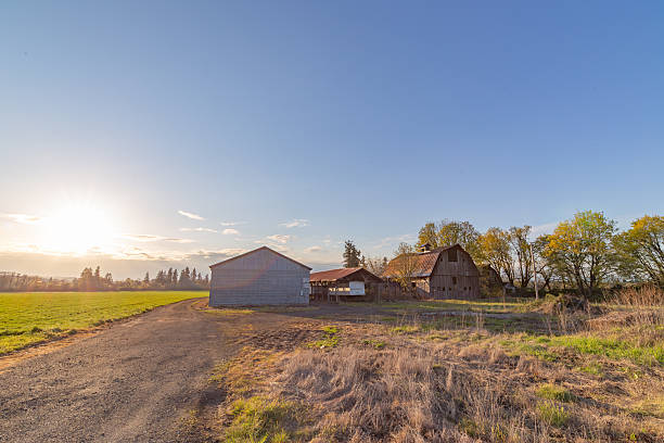 west Texas farm with modern farmhouse behind plowed field, a row of trees, and big sky