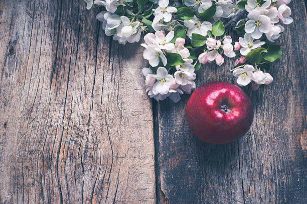 Red apple with flowers on a wood background/toned photo/spring background