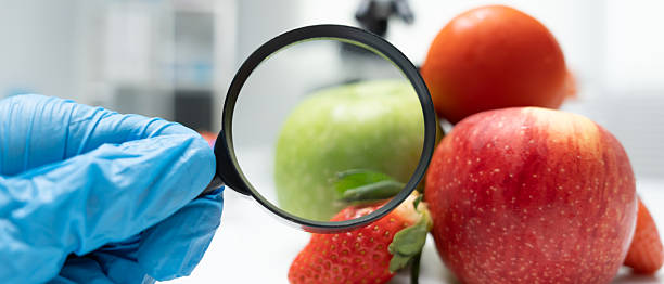 Scientist use magnifying glass to check physical occur from chemical on fruit and vegetable residues in laboratory. inspect the concentration of chemical residues, standard, find prohibited substances