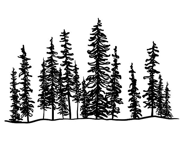 Minimalist hand-drawn pine tree silhouettes forming a layered forest landscape in black and gray, simple ink sketch style on a light background.