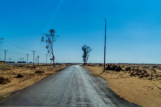 This is a color photograph of a large tree beside a rural road through the sandy Namibia desert on a hot, sunny day in Namibia, Africa.