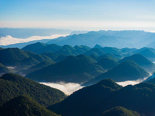 Mist mountain in the morning