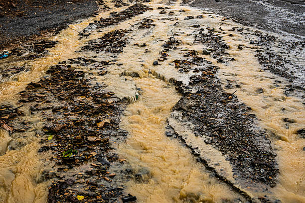 Country road in the heavy rain