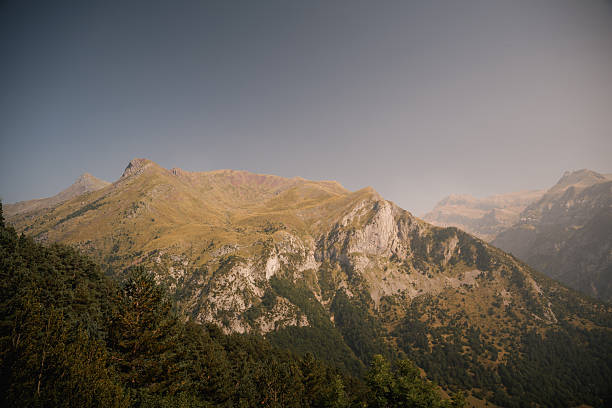 Majestic mountain peaks bask in soft summer light, creating a panoramic view of the rugged yet verdant landscape of Candanchú in the Pyrenees. Forests and valleys complete the picturesque scene.