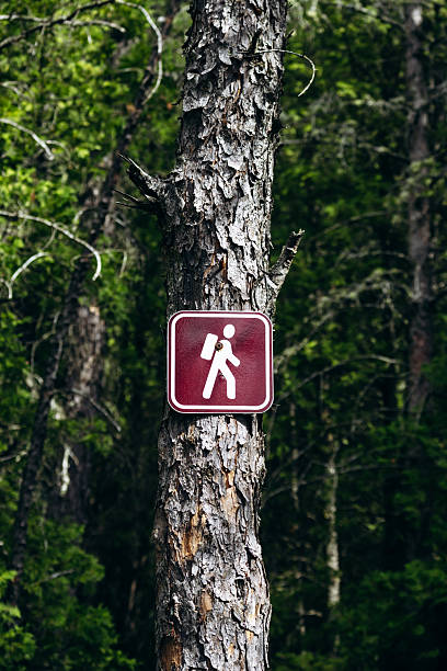 Red hiking trail sign with white backpacker symbol mounted on a tree trunk along Eucher Trail near La Baie, surrounded by dense boreal forest vegetation in summer