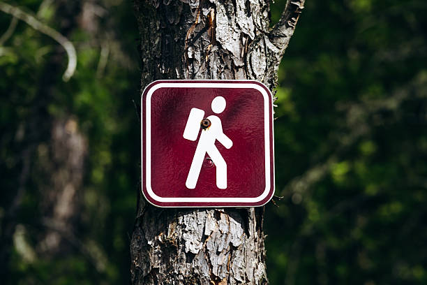Red hiking trail sign with white backpacker symbol mounted on a tree trunk along Eucher Trail near La Baie, surrounded by dense boreal forest vegetation in summer