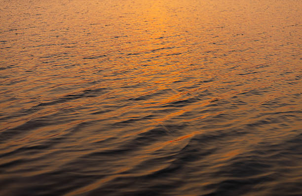 Beautiful golden sunset light reflecting on the calm water surface with soft ripples. High angle view of liquid orange and gold texture, perfect for peaceful and luxury abstract backgrounds.