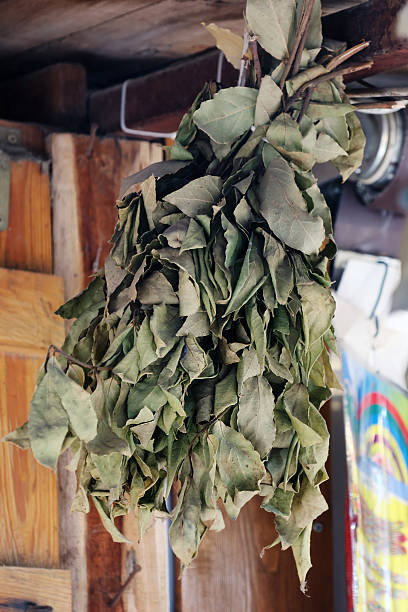 Bay Leaves