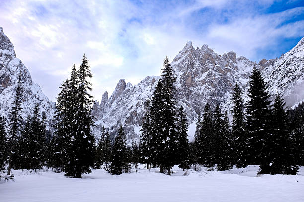 Sesto dolomites natural park in winterA paradise for cross-country skiing