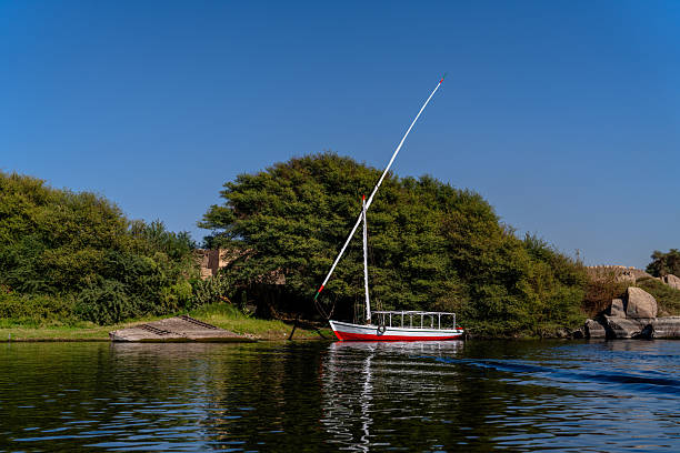 felucca sailboat along the Nile river  with it's iconic white triangular, lateen, sail
