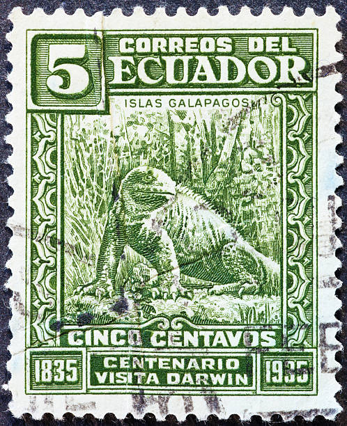Marine iguana on vintage postage stamp of Ecuador