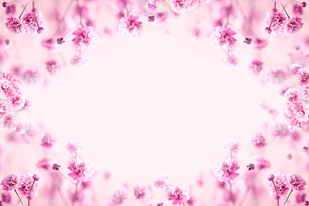 A beautiful pink and white floral background with a white frame. The flowers are pink and the background is also pink. The frame is white and it surrounds the flowers, creating a lovely