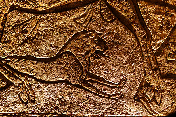 Close up of an ancient lion relief carved in stone in Aswan Egypt highlighting texture craftsmanship and warm light with strong historical and cultural atmosphere