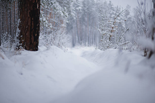 Handwritten word 'winter' on the snow.