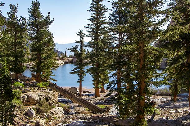 Olmsted Point is a famous vista of the northern side of Half Dome, Tenaya Canyon, and Tenaya Lake on Tioga Pass.