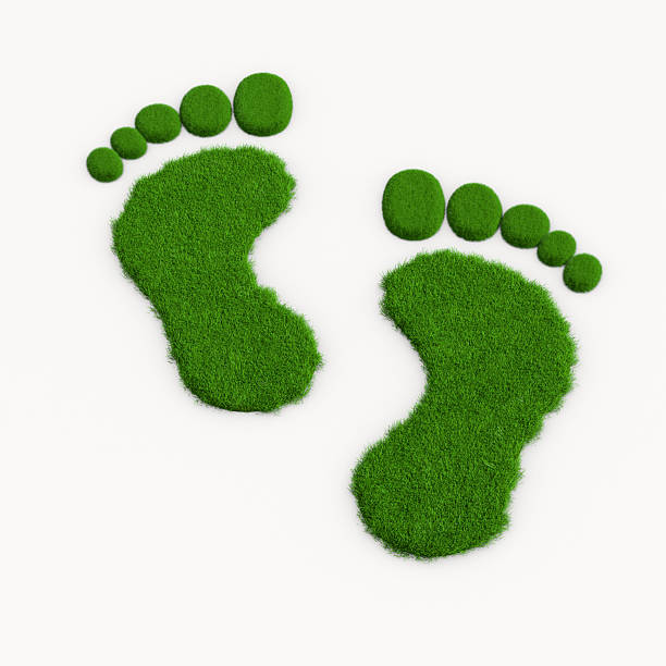 Footprint from grass on white background. Isolated 3D illustration