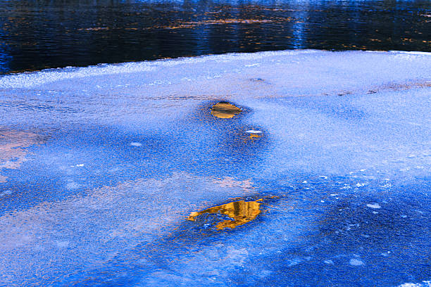 Warm canyon reflections in water and ice forming along the edge of a riverbank.