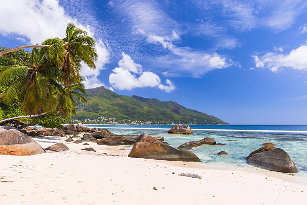 istock Beau Vallon Beach view on a sunny summer day, 2261300529