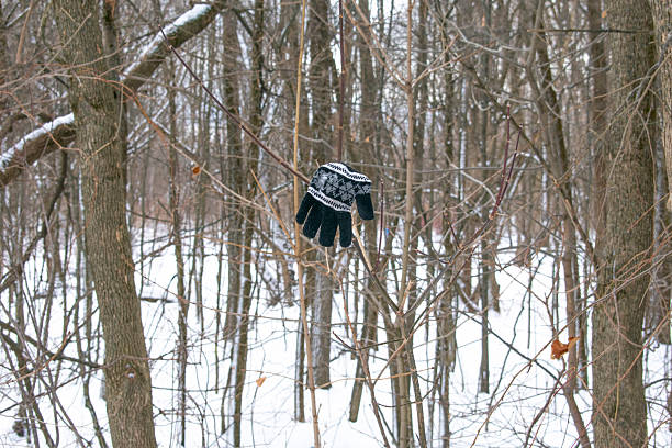 Lost glove in the forest