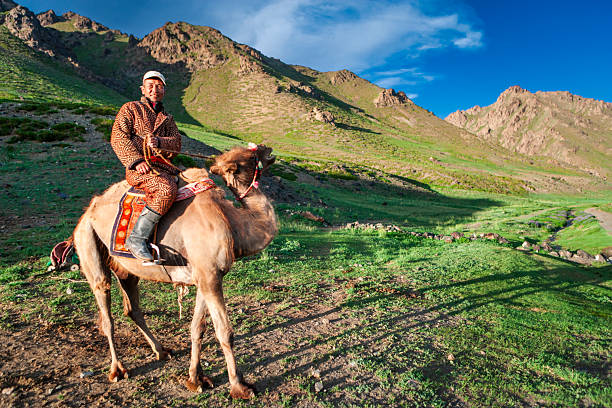 A smiling man in a patterned coat and cap sits atop a camel fitted with a colorful saddle blanket and decorated reins. He is framed against a sunlit green valley with rocky, rugged hills and a vivid blue sky; long shadows and warm light suggest late afternoon. The scene evokes traditional nomadic life and wide, open pastoral landscapes.