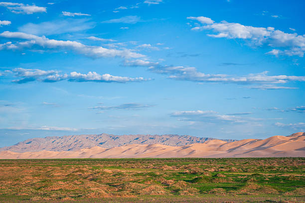 A wide, tranquil landscape showing a contrast of terrains: a foreground of low, grassy mounds and green patches gives way to smooth, golden sand dunes in the middle distance, backed by rugged rocky mountains. Above, a vast blue sky is scattered with thin white clouds, and soft light casts gentle shadows across the dunes and plains.