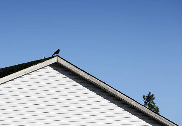 A lone crow observes from a high perch on a roof line of a detached house. Winter morning with a clear sky over Metro Vancouver.
